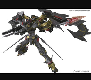 RG (24) Gundam Astray Gold Frame Amatsu Mina 1/144 Round Mina Sahakus Use Mobile Suit MBF-P01-Re2 - Megazone